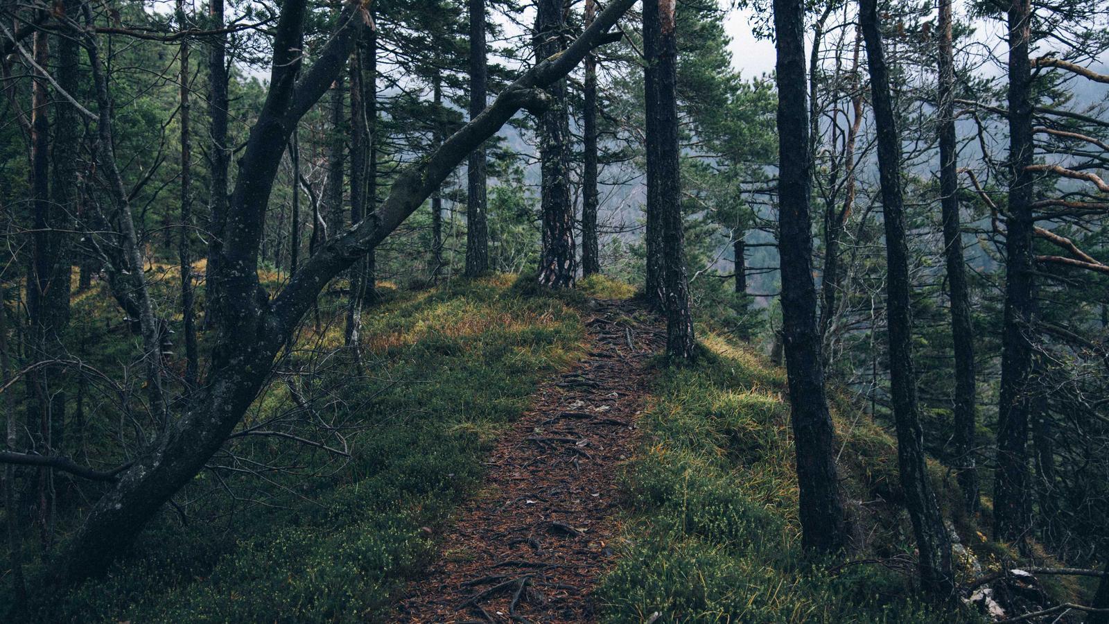 Bạn già thế kỷ — Tập 3