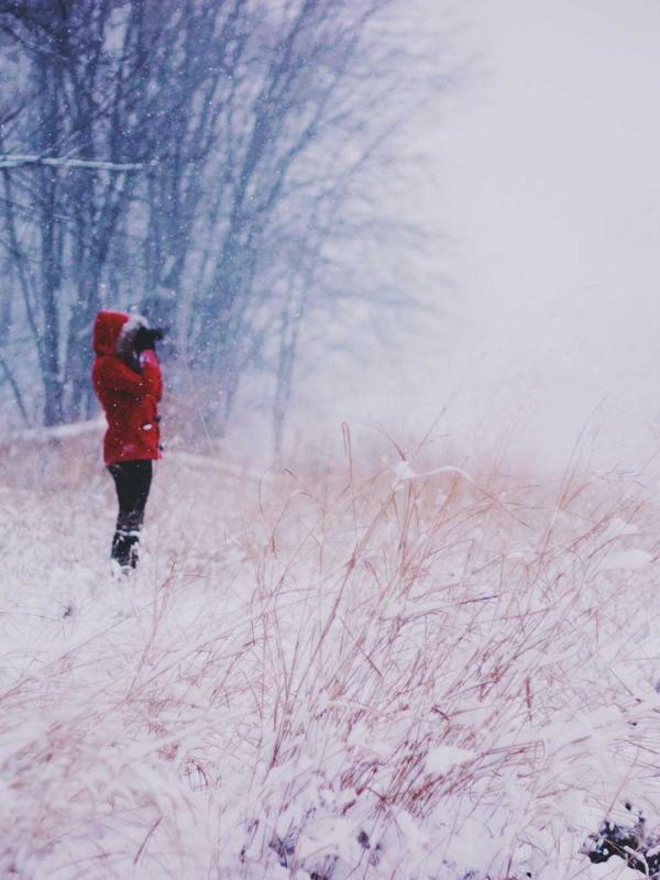 Câu chuyện từ căn nhà cho thuê