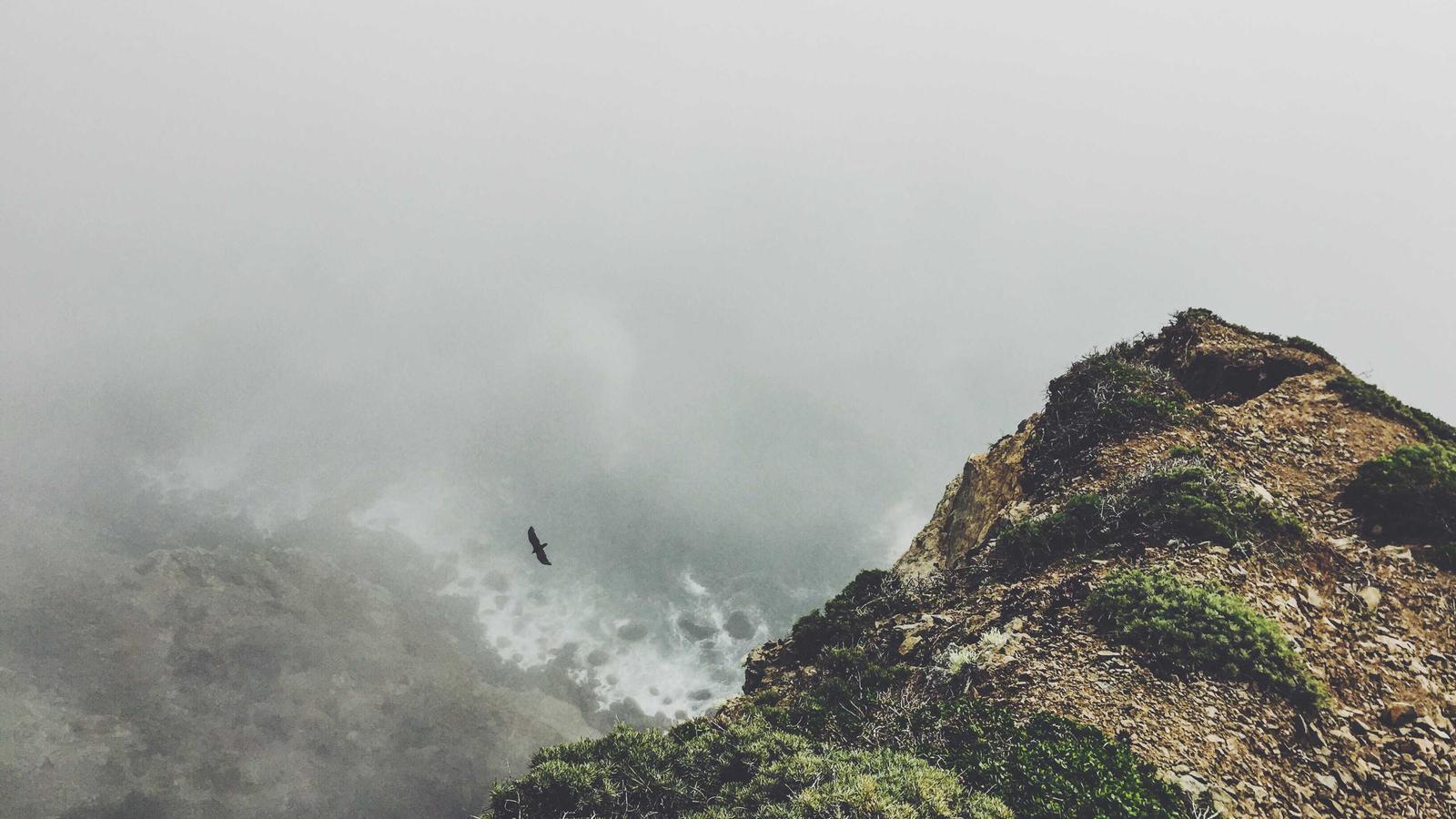 Câu chuyện từ căn nhà cho thuê — Tập 1