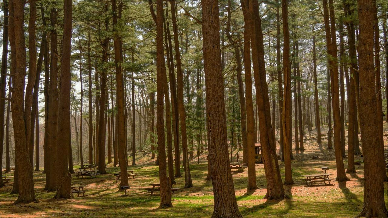 Phần 3: Đêm sương mù #6