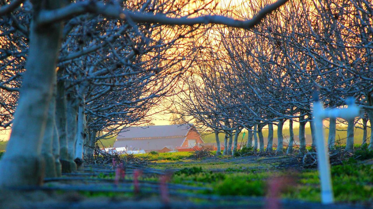 Phần 3: Đêm sương mù #3