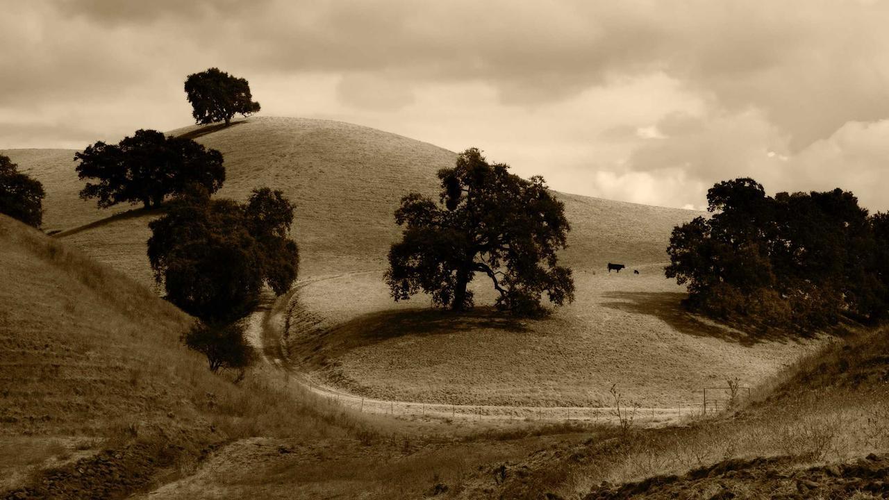 Phần 1: Tiếng động đầu tiên #1