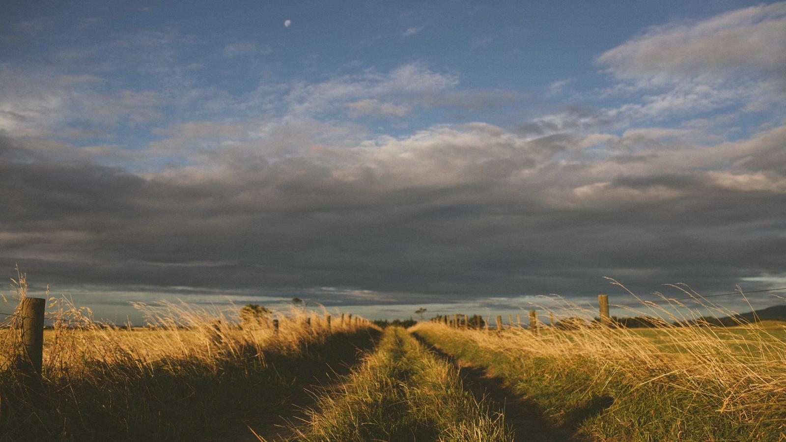 Miếu hoang Rạch Giá — Tập 1