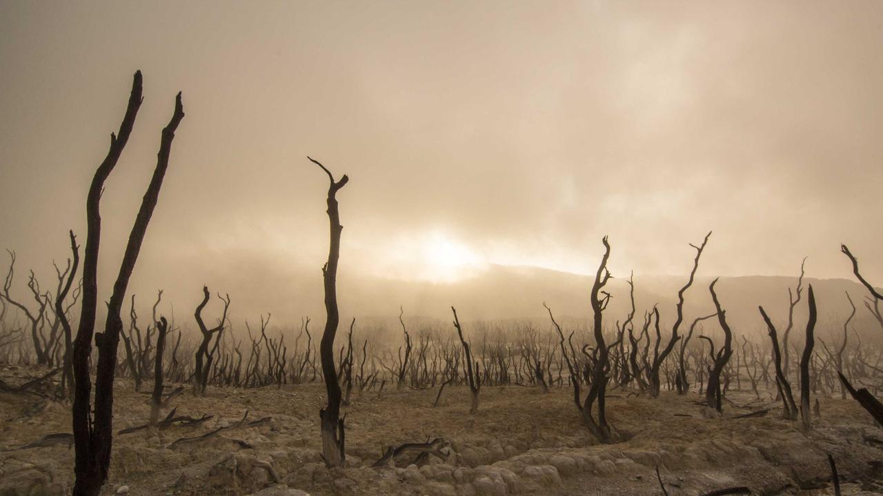 Phần 2: Người trong gương #3