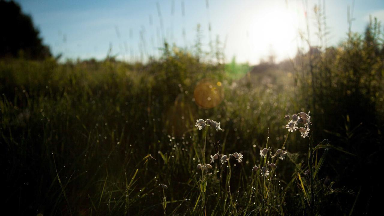 Phần 3: Đêm sương mù #1