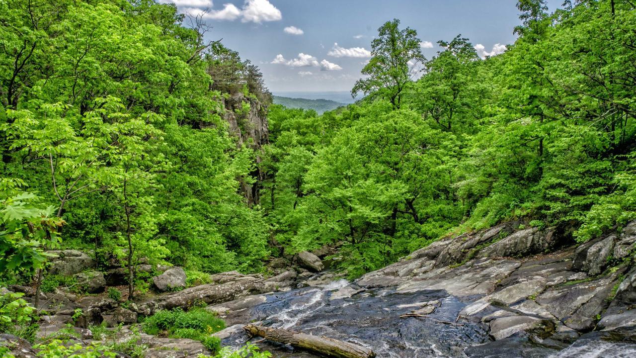 Phần 3: Đêm sương mù #5