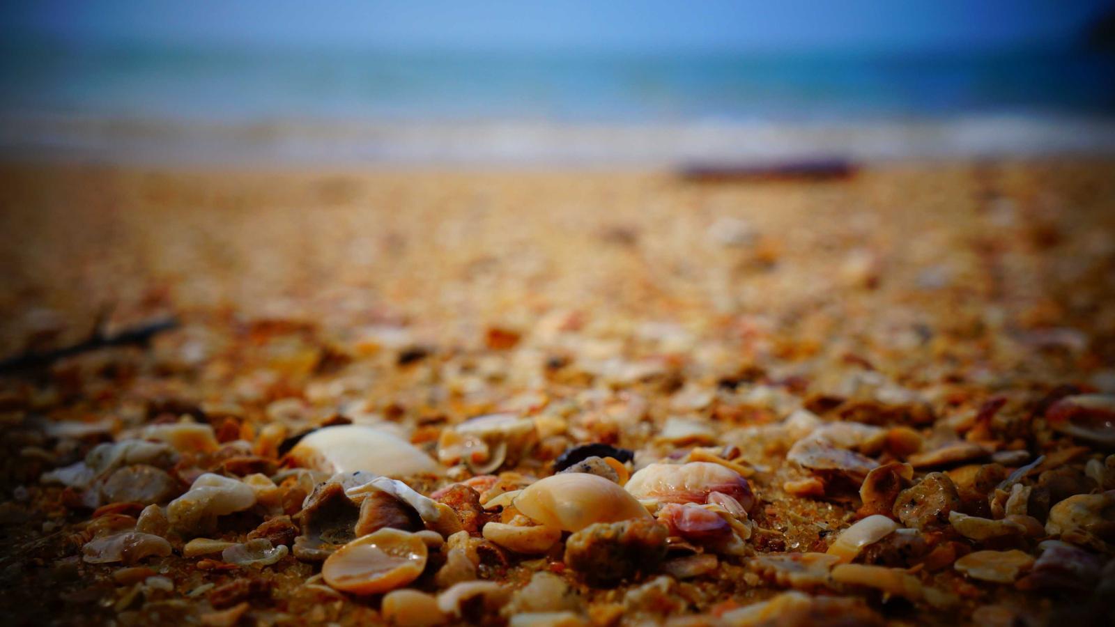 Miếu hoang Rạch Giá — Tập 4