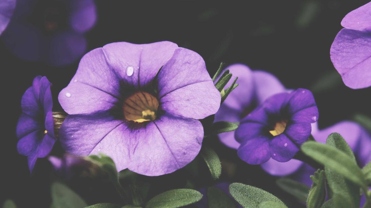 Phần 2: Người trong gương #5