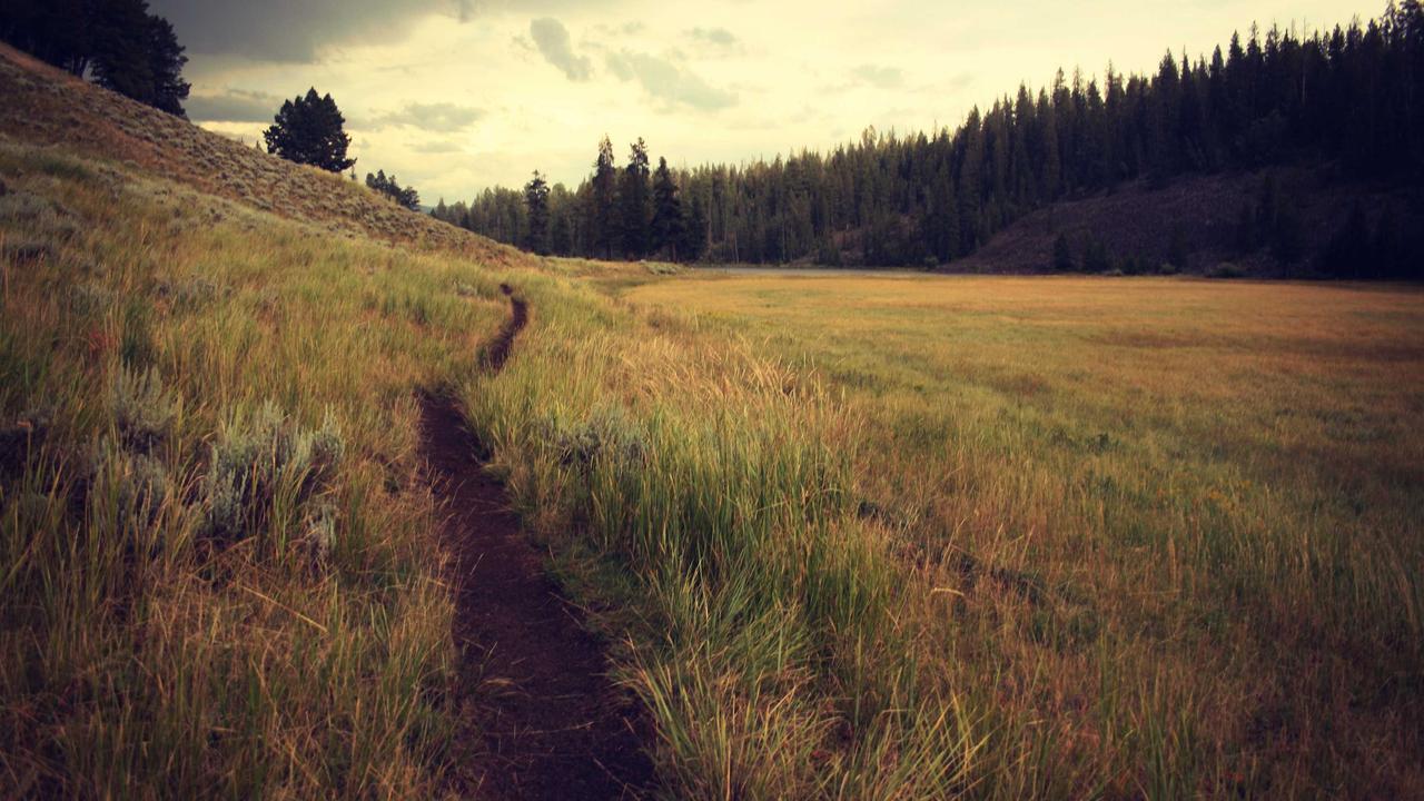 Phần 3: Đêm sương mù #5