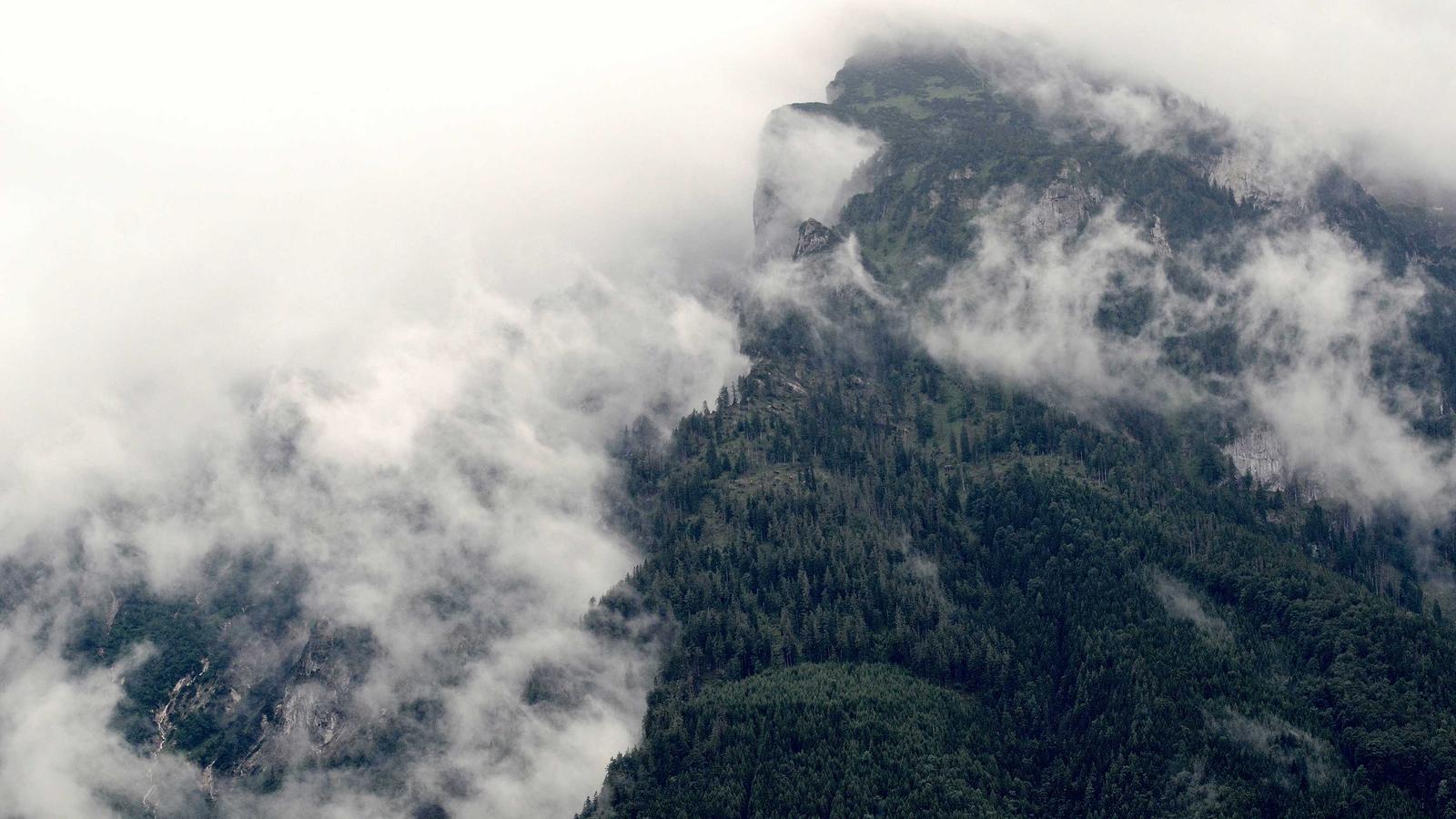 Vụ án mất tích Đồi Cao — Tập 1