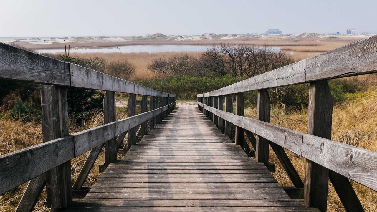 Phần 4: Bóng dáng quen thuộc #1